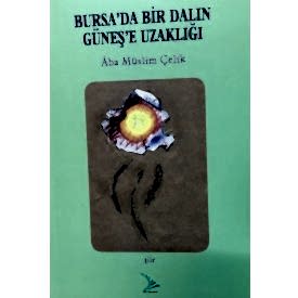 BURSA'DA BİR DALIN GÜNEŞE UZAKLIĞI