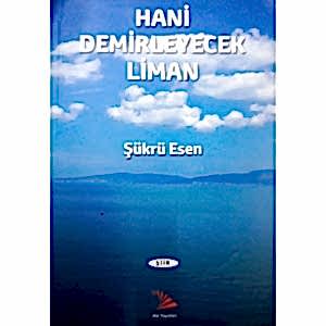 HANİ DEMİRLEYECEK LİMAN