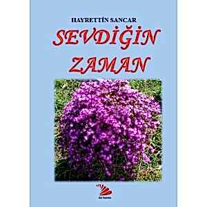 SEVDİĞİN ZAMAN